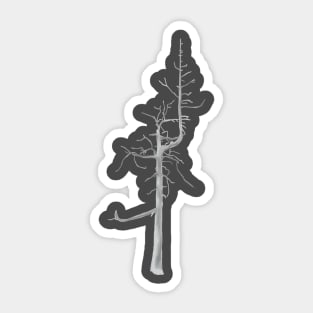 Bandon Ghost Tree Sticker